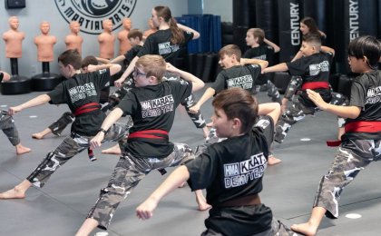 Martial arts for kids